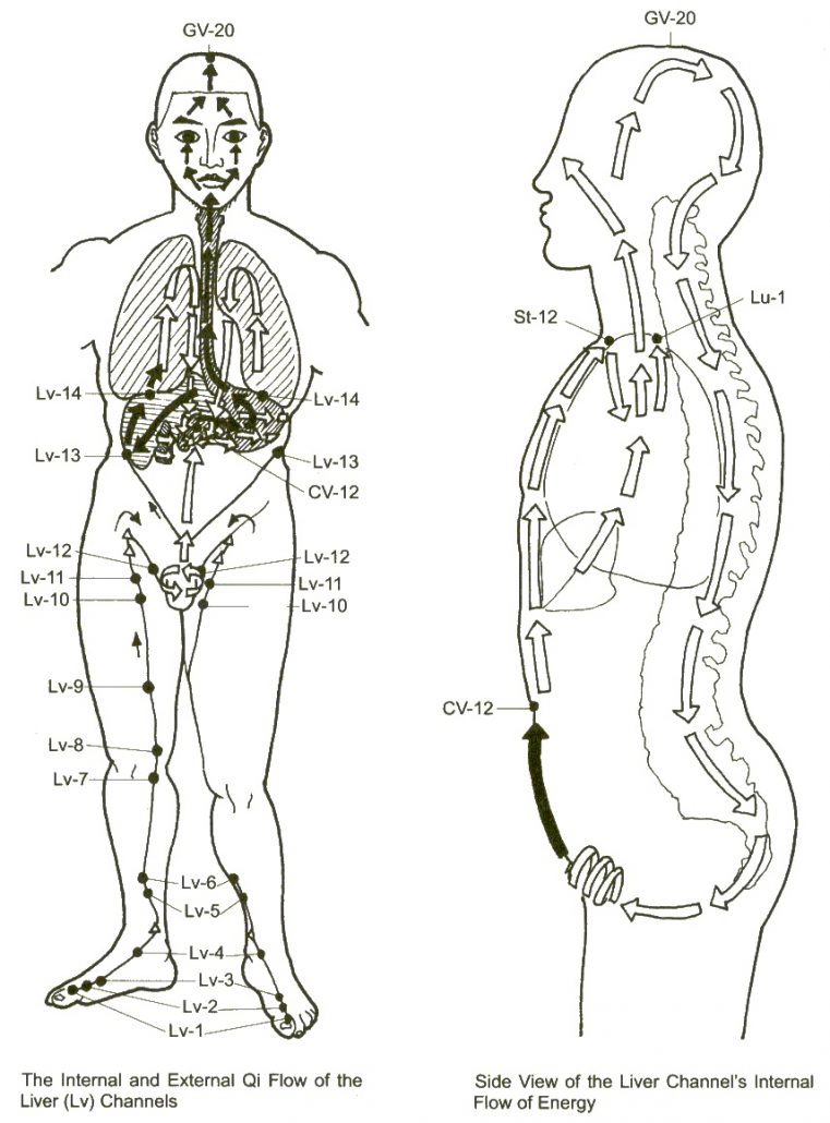 The Emotional Aspect Of Liver Meridian – Optimum Energy And Wellness