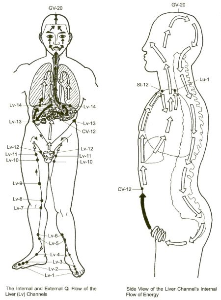 The Emotional Aspect of Liver Meridian – Optimum Energy and Wellness